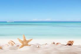 Tampa Bay New Home Finders at the Beach