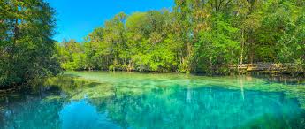 Homosassa
