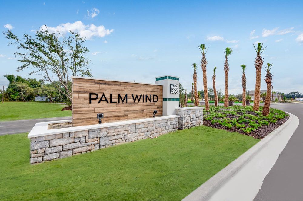 Palm Wind